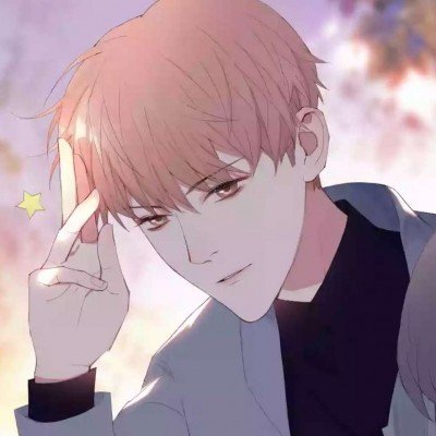 继承者们